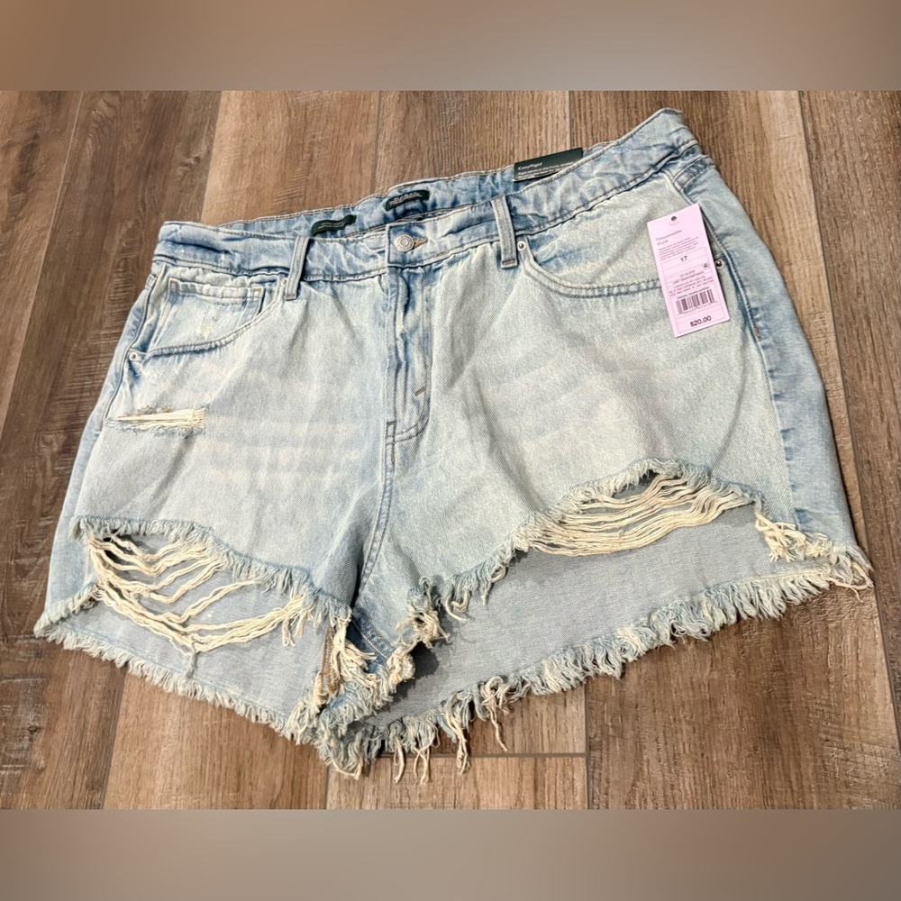 Wild Fable Light Blue Distressed Jean Shorts